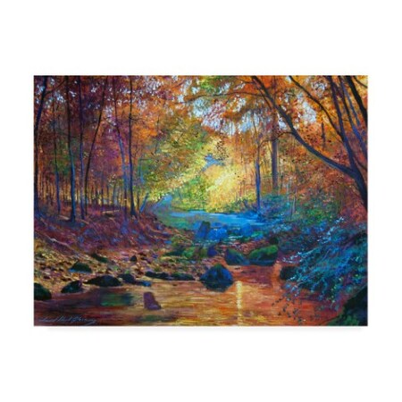 David Lloyd Glover 'Quiet Autumn Moments' Canvas Art,14x19